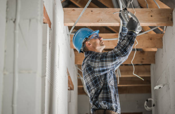 Best Electric Panel Repair  in Randallstown, MD